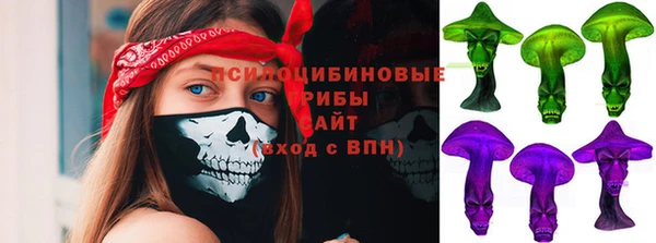 соль курить ск Алзамай