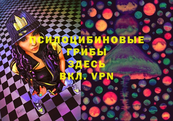 МДПВ Абинск