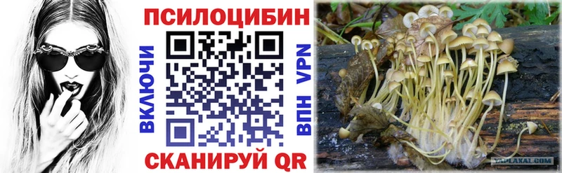Галлюциногенные грибы Psilocybine cubensis  Яблоновский 